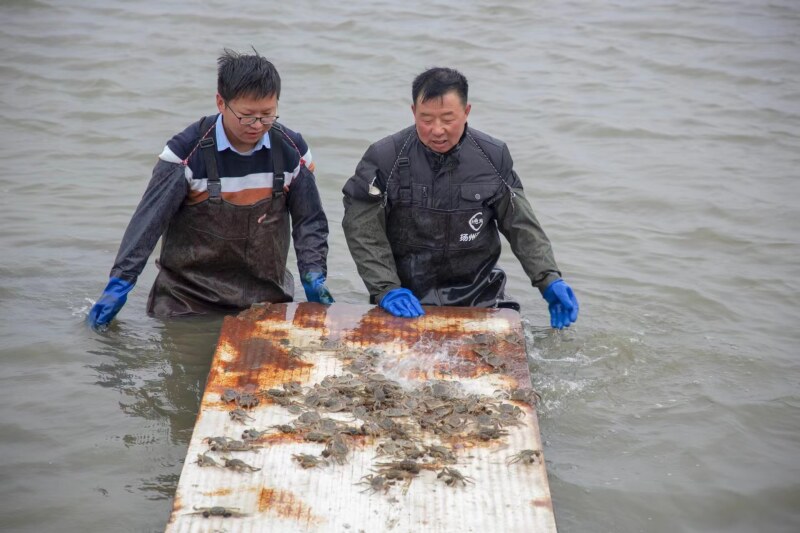 杨智景无锡水科院进修(2023年).jpg