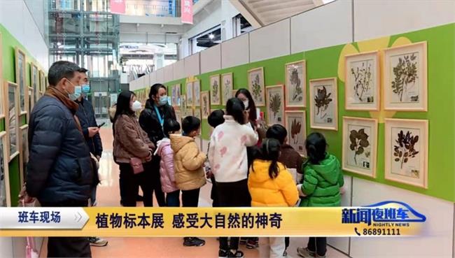 植物标本展活动现场