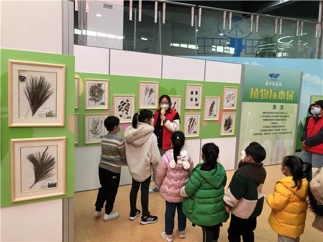 植物标本展活动现场