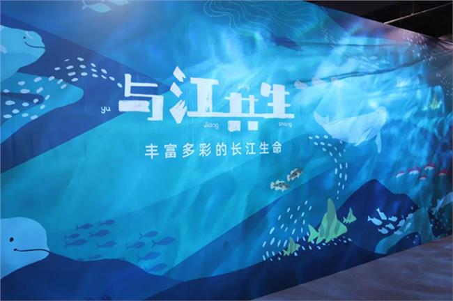宣传海报